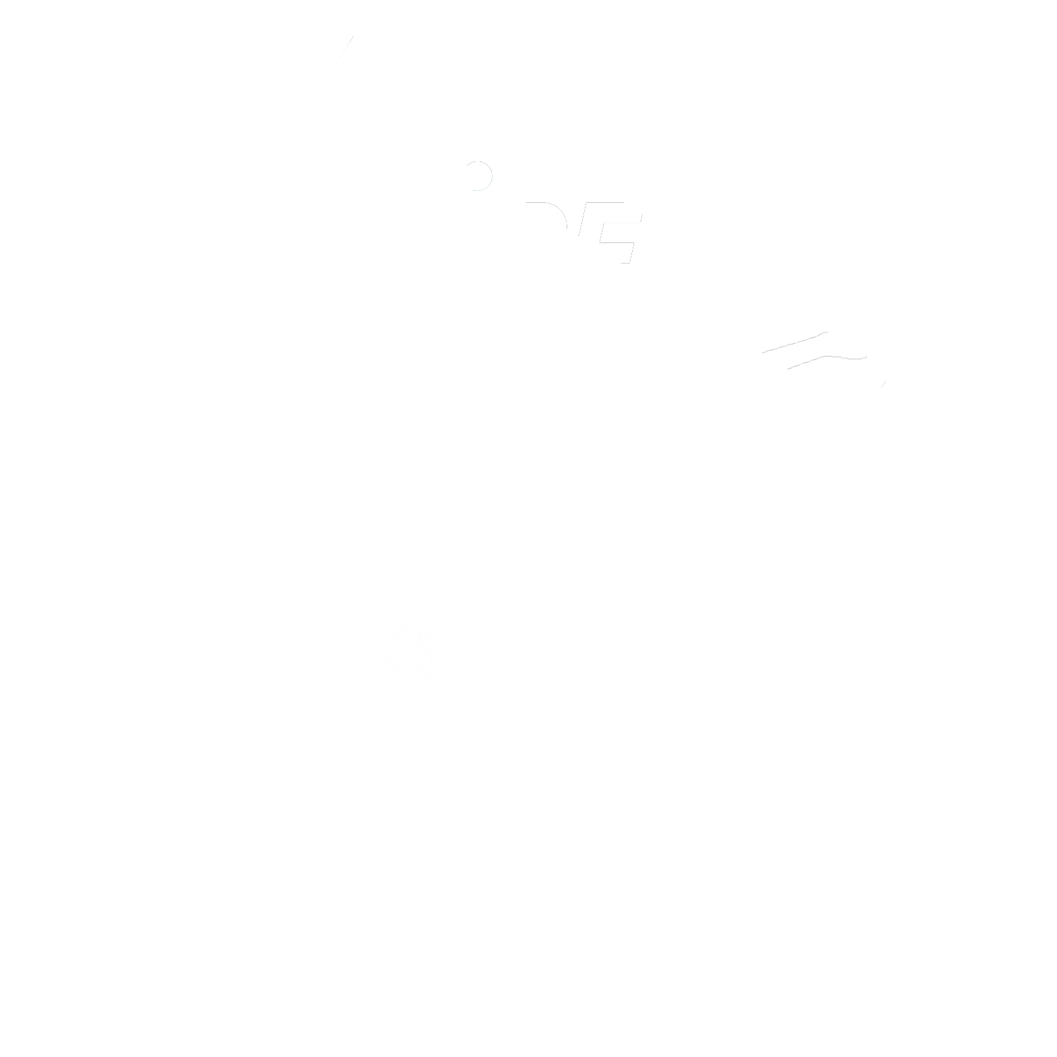 Secteur Montbrisonnais Sport Boules